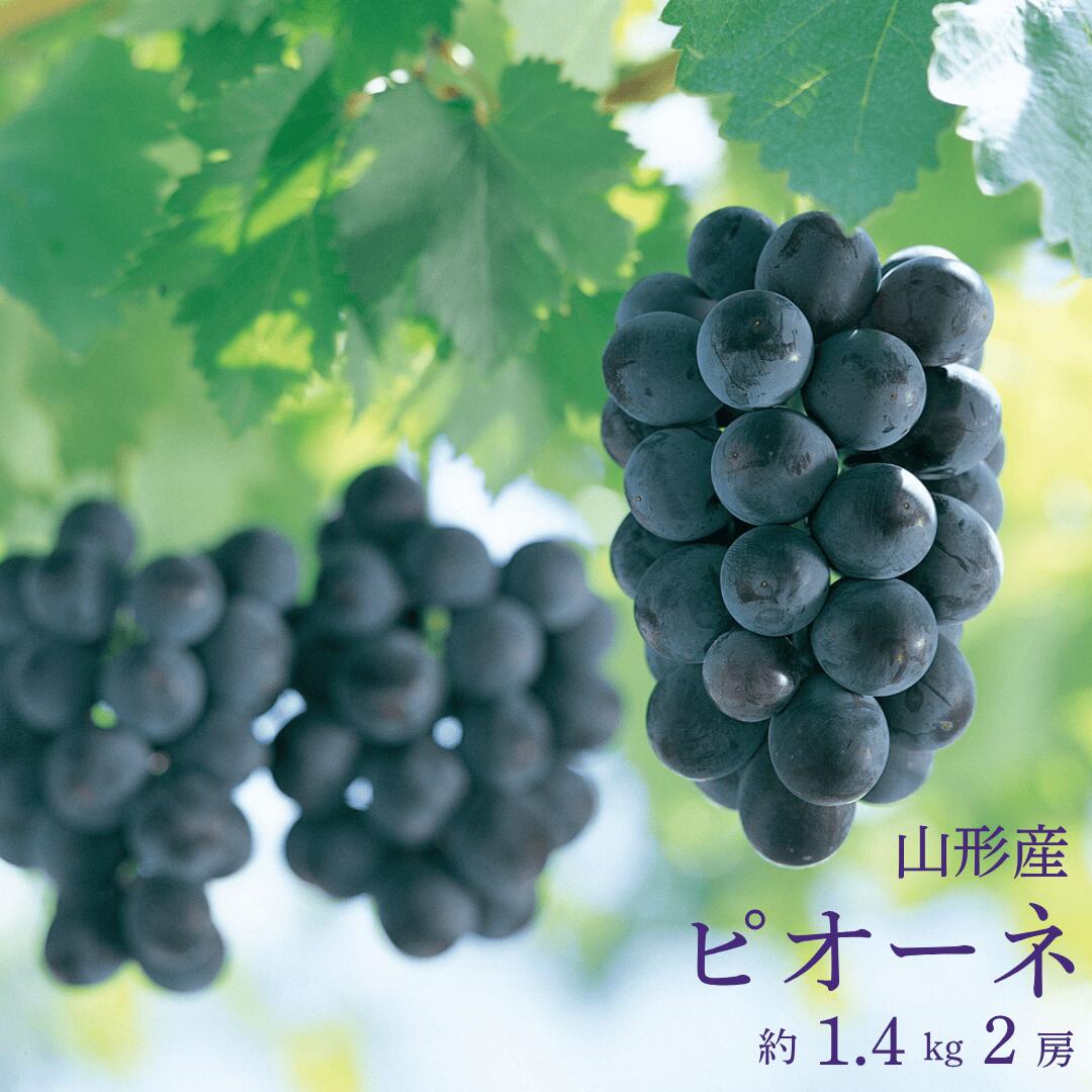 山形産ピオーネ