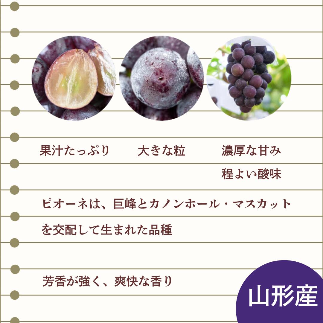 ピオーネの特徴
