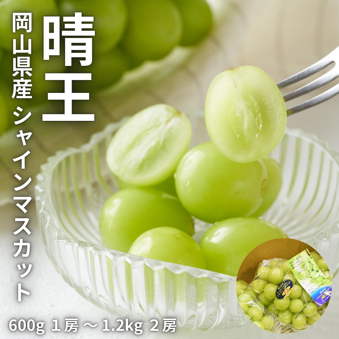 晴王