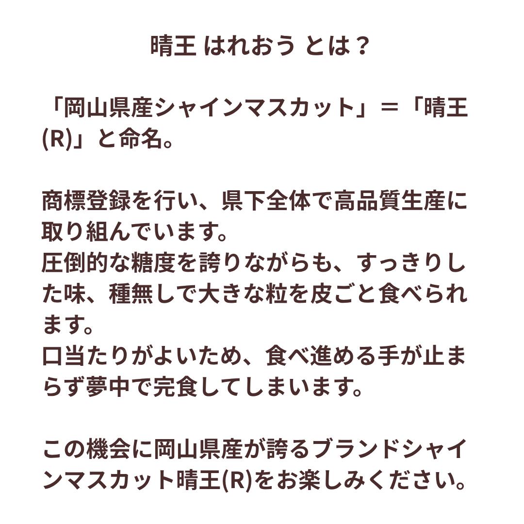 晴王とは