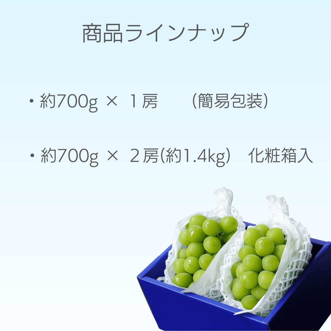商品ラインナップ