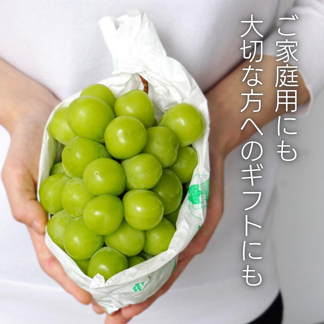 シャインマスカットイメージ1
