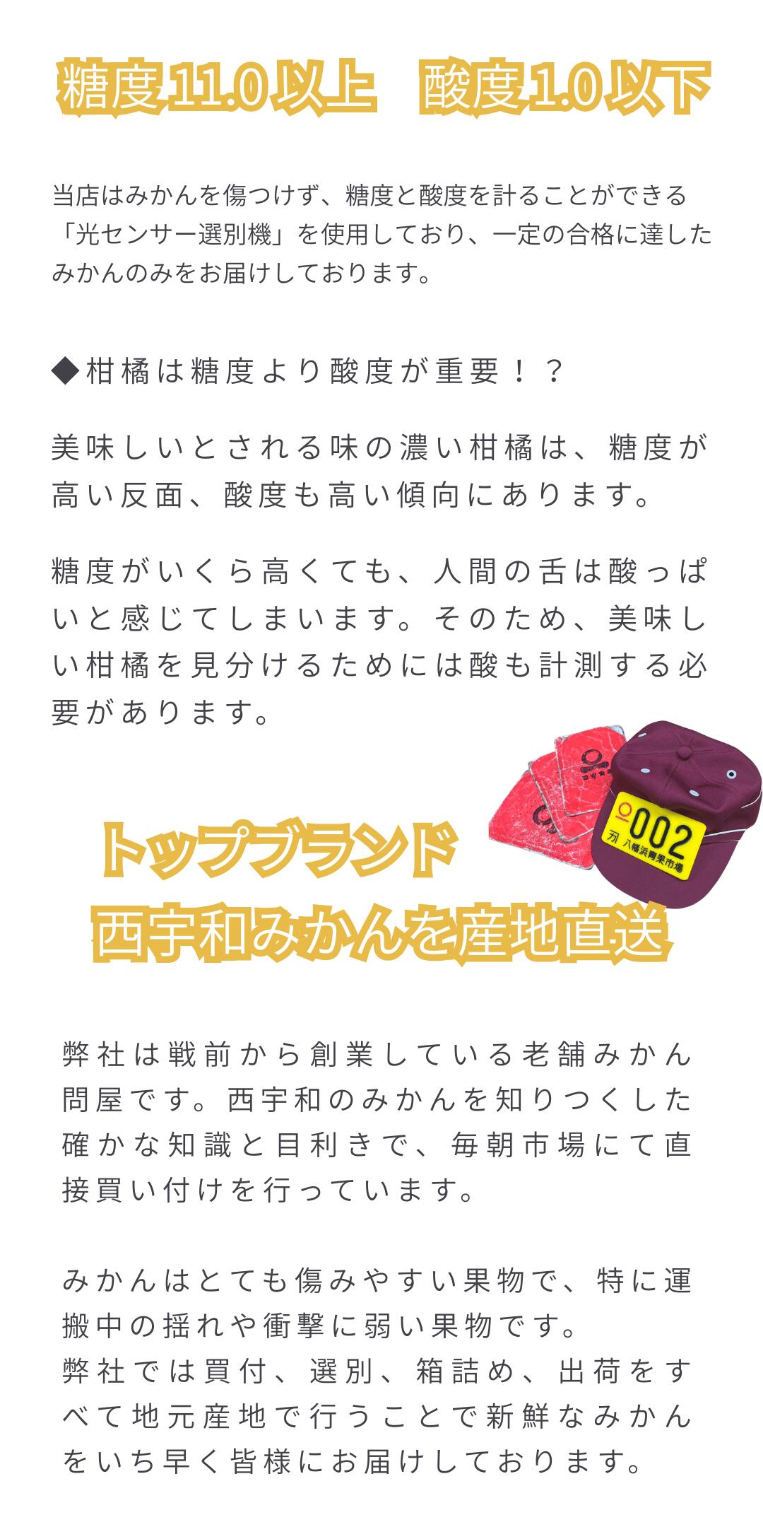 トップブランド西宇和みかん
