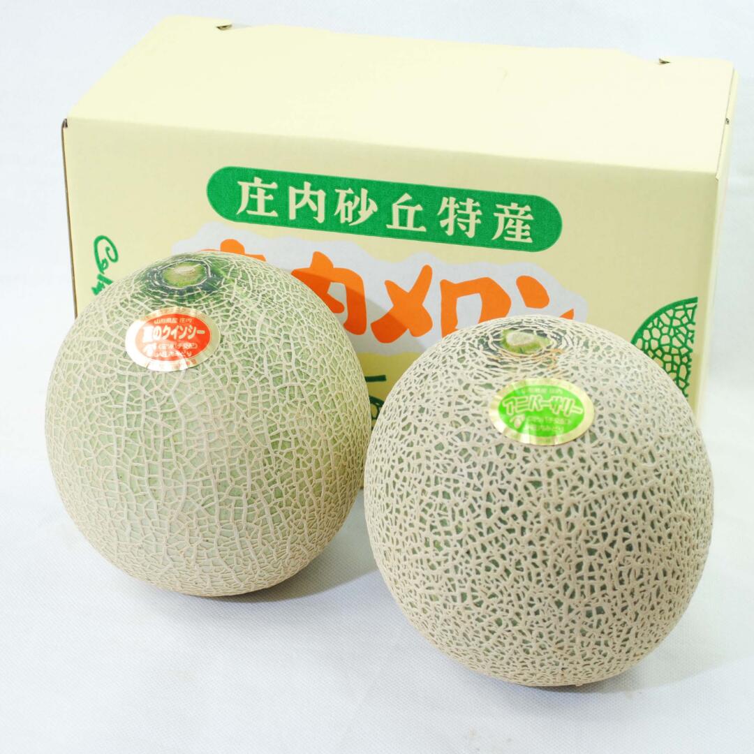 庄内砂丘メロン商品イメージ