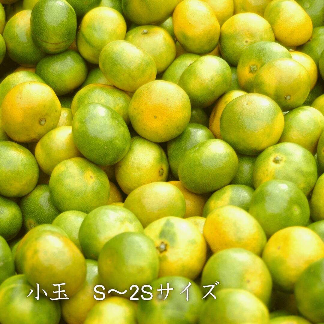 小玉イメージ