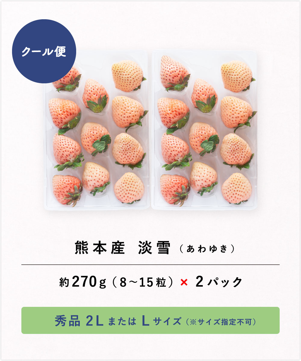 セット内容