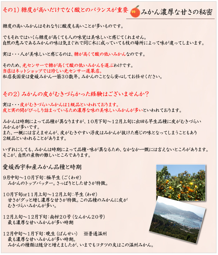 甘さの秘密