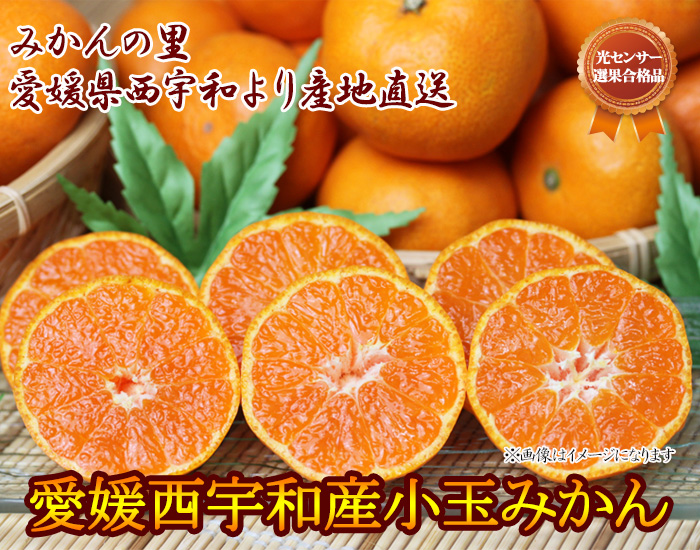 小玉みかん