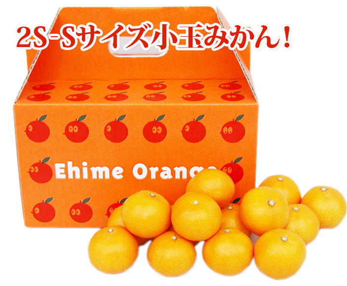 箱イメージ