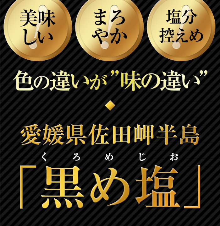 概要