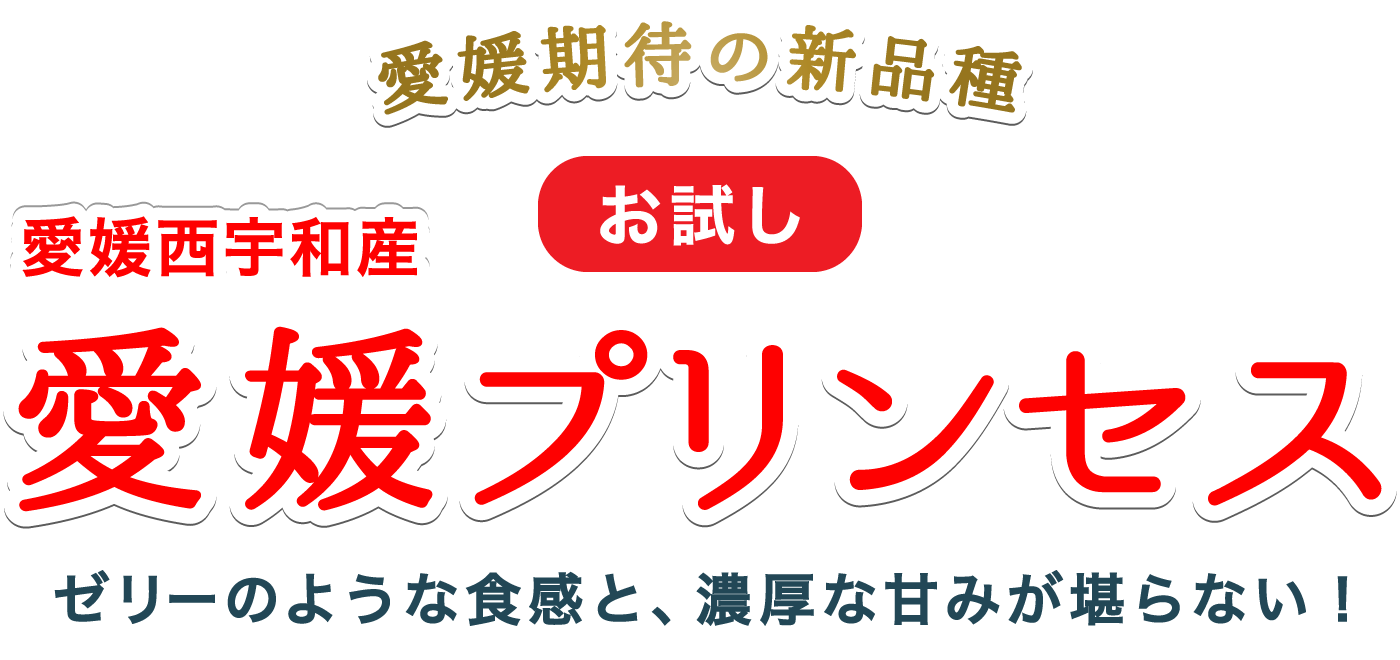 タイトル
