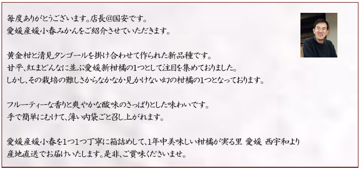 説明