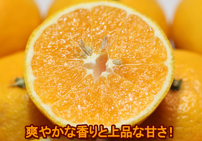 媛の月イメージ