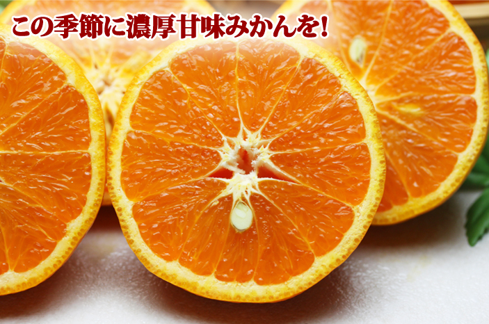 イメージ1