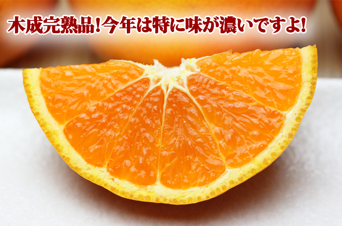 イメージ2