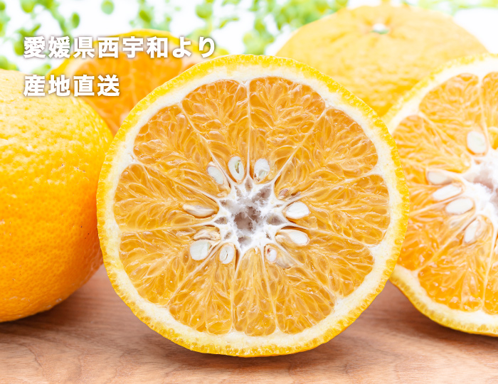 甘夏