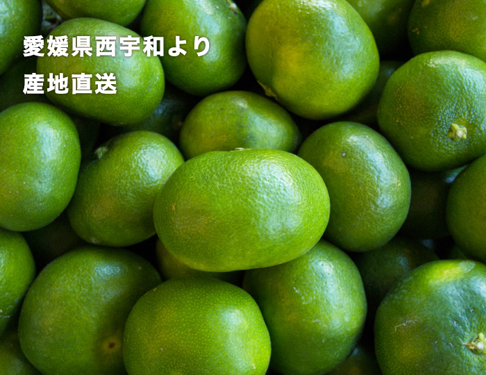 青切みかん
