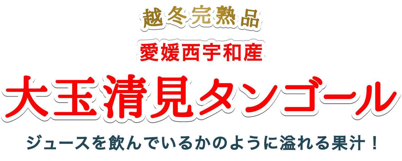 大玉清見タンゴール