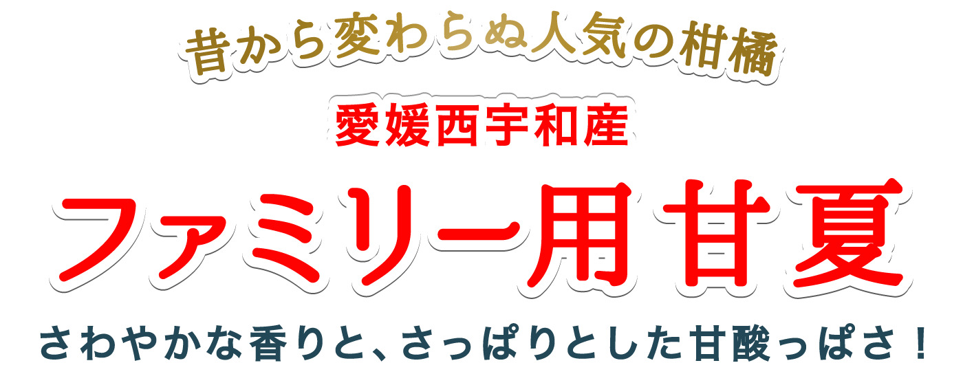 タイトル