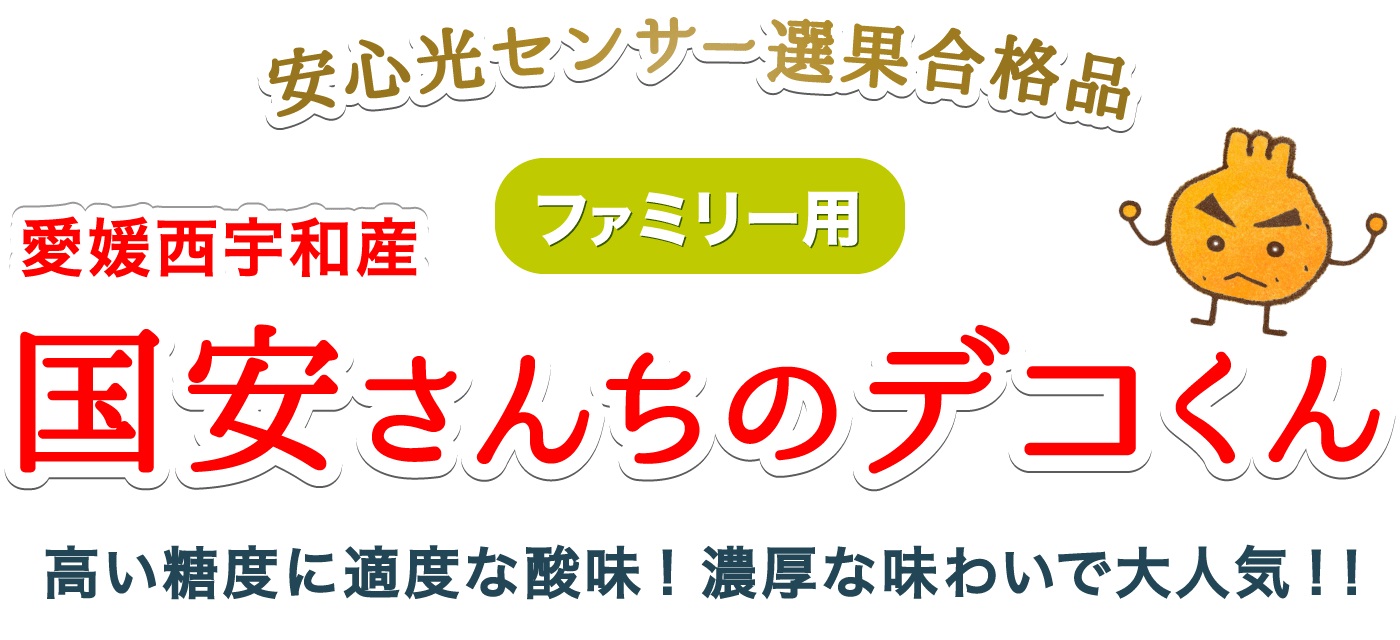愛媛西宇和産ファミリーデコくん