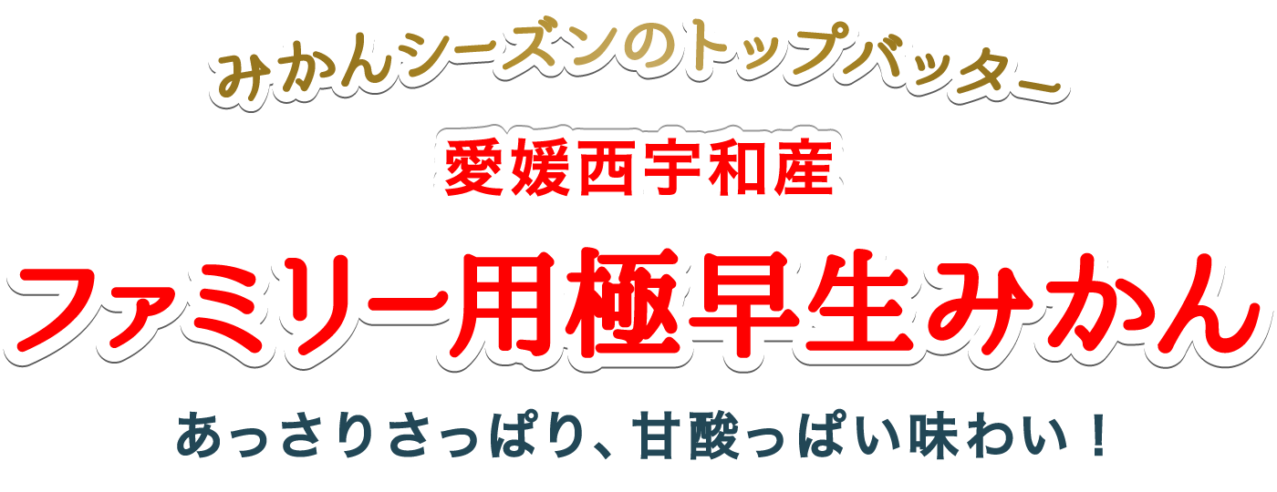 タイトル