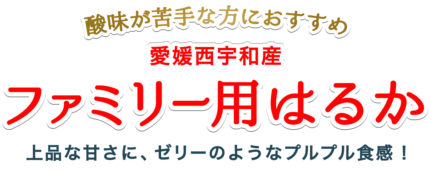 愛媛西宇和産愛媛はるか