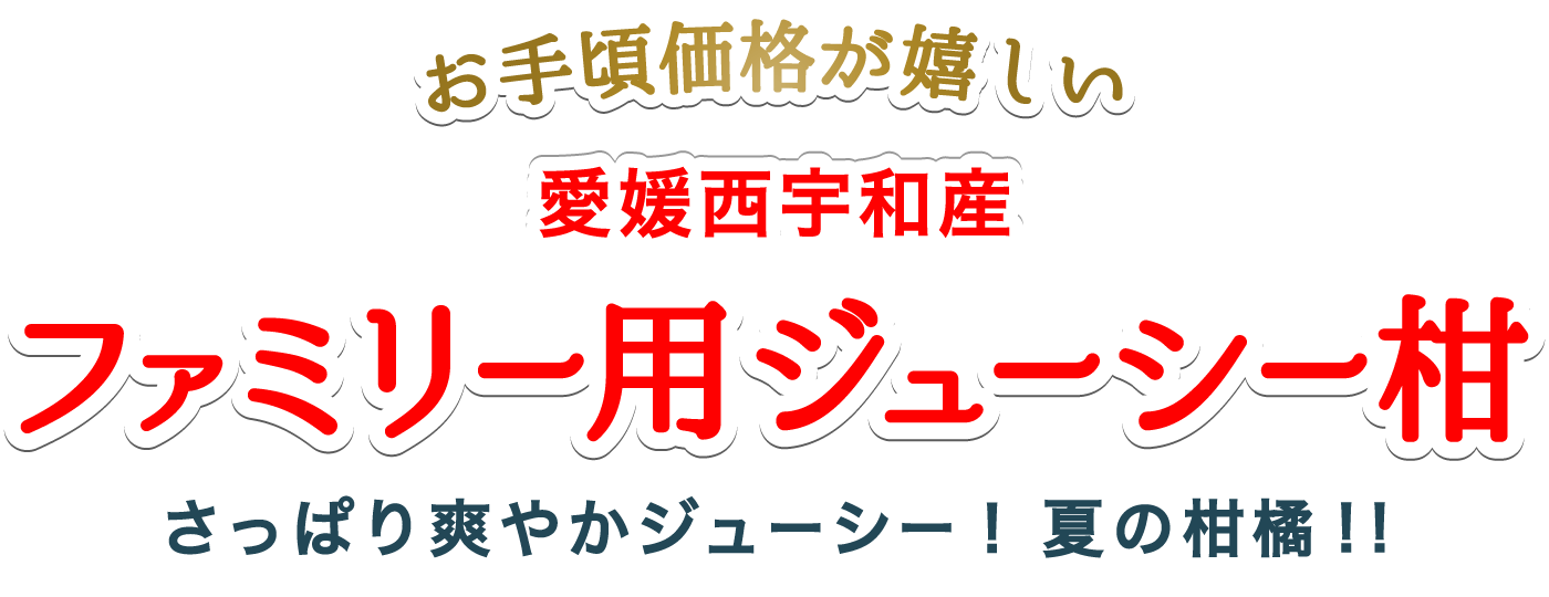 タイトル
