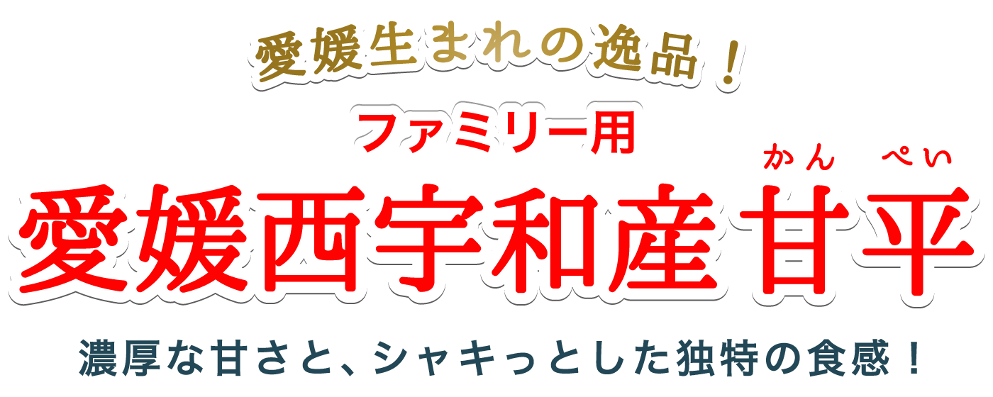 愛媛西宇和産ファミリー用甘平