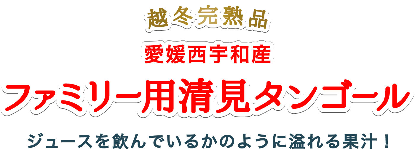 ファミリー清見