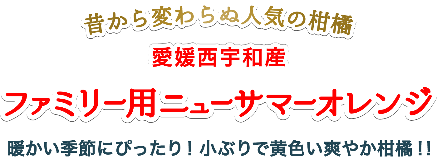 タイトル