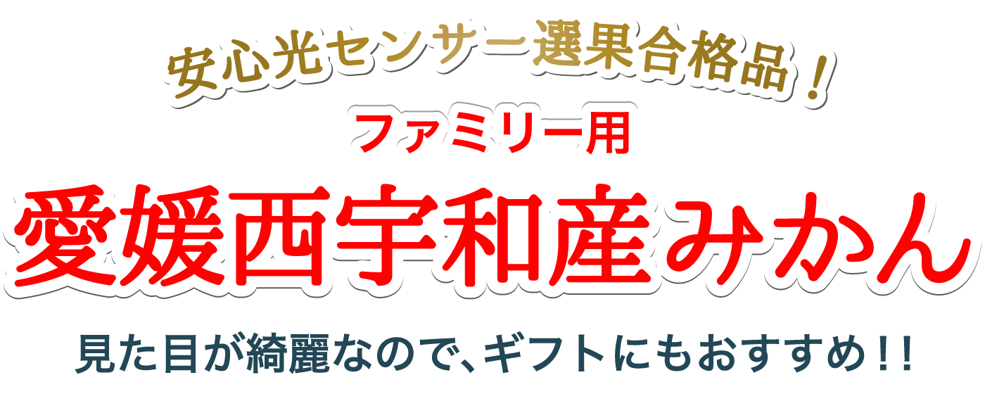 タイトル