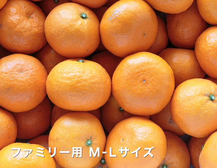 ファミリーイメージ