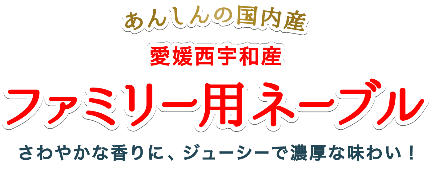 ファミリーネーブルタイトル