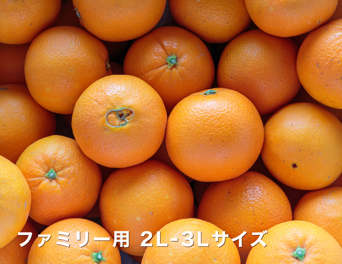 ファミリーイメージ