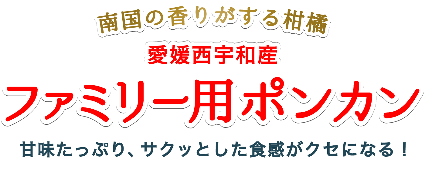 タイトル
