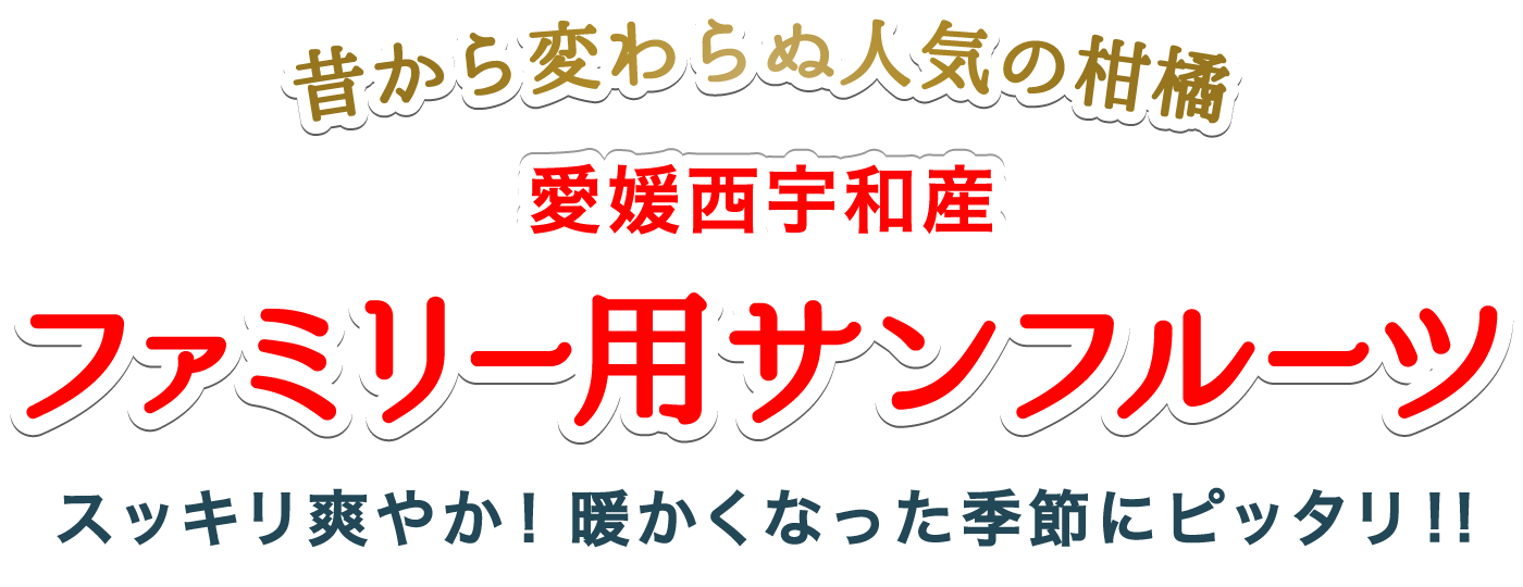 タイトル