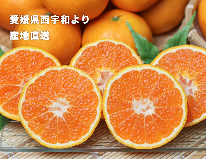 最初