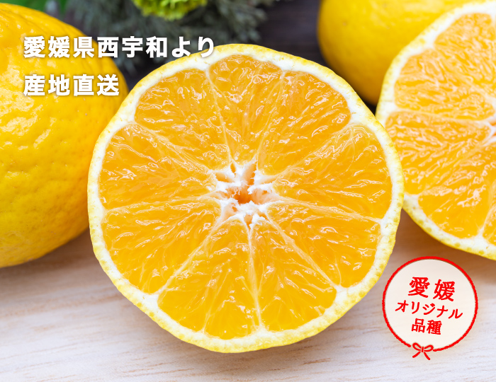 媛小春