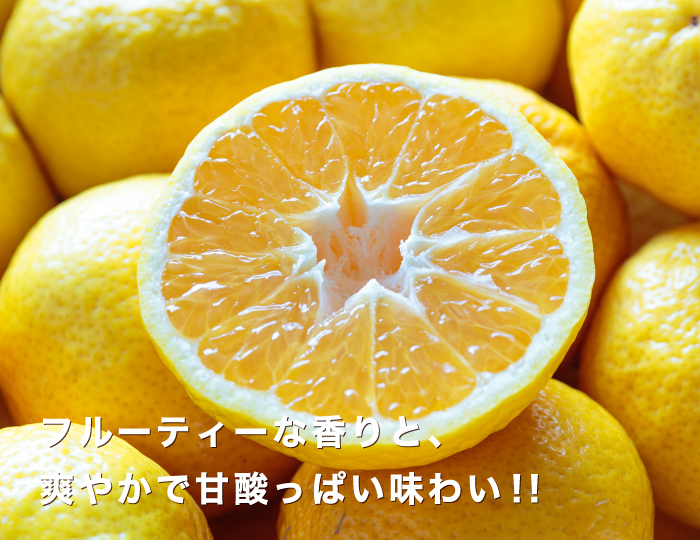媛小春イメージ