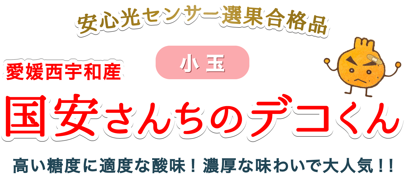 愛媛西宇和産小玉デコくん