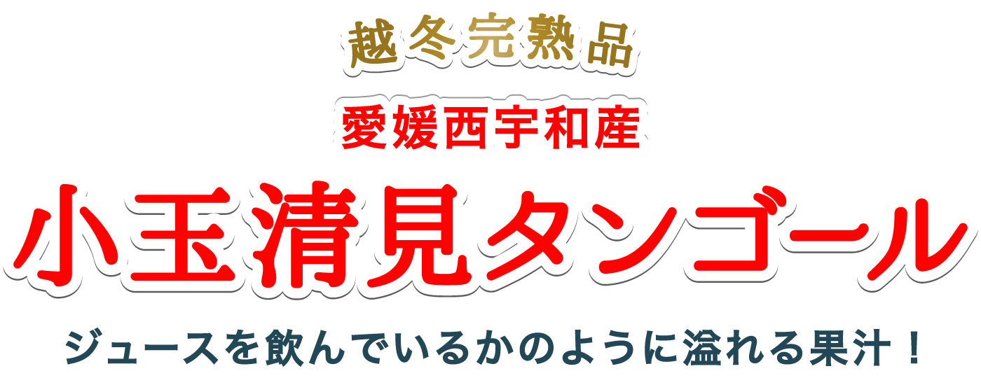 小玉清見タンゴール