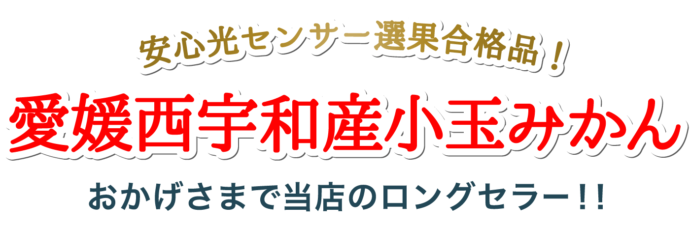 タイトル