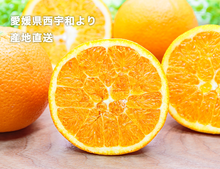 ネーブル