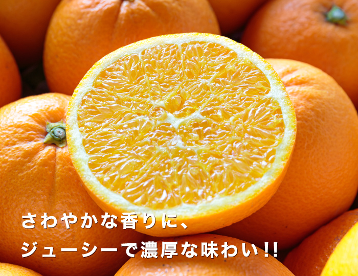 ネーブルイメージ