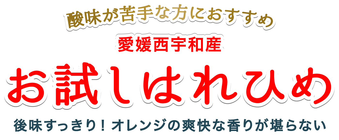 タイトル