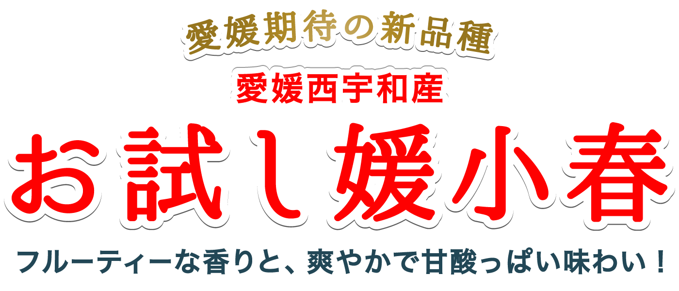 お試し媛小春