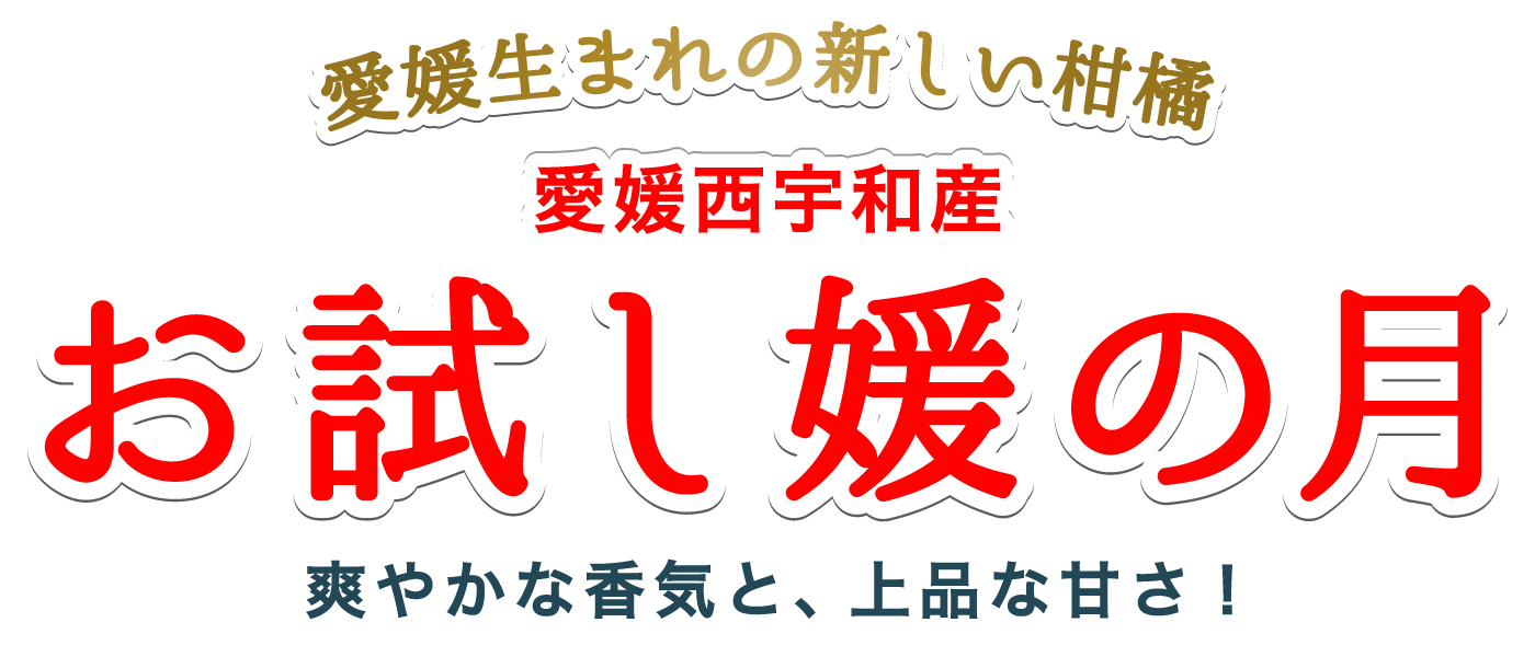 お試し媛の月タイトル