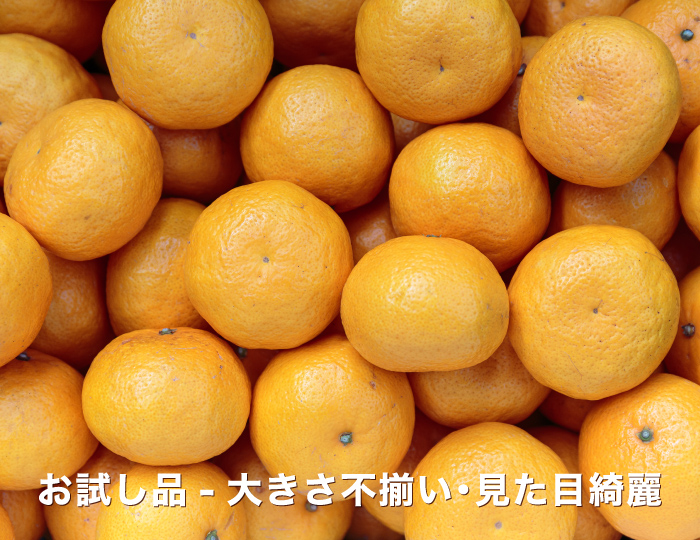お試しイメージ