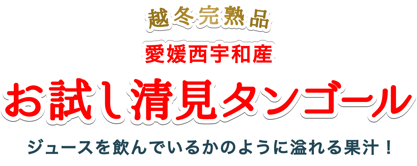 お試し清見タンゴール