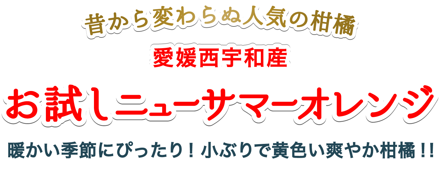 タイトル